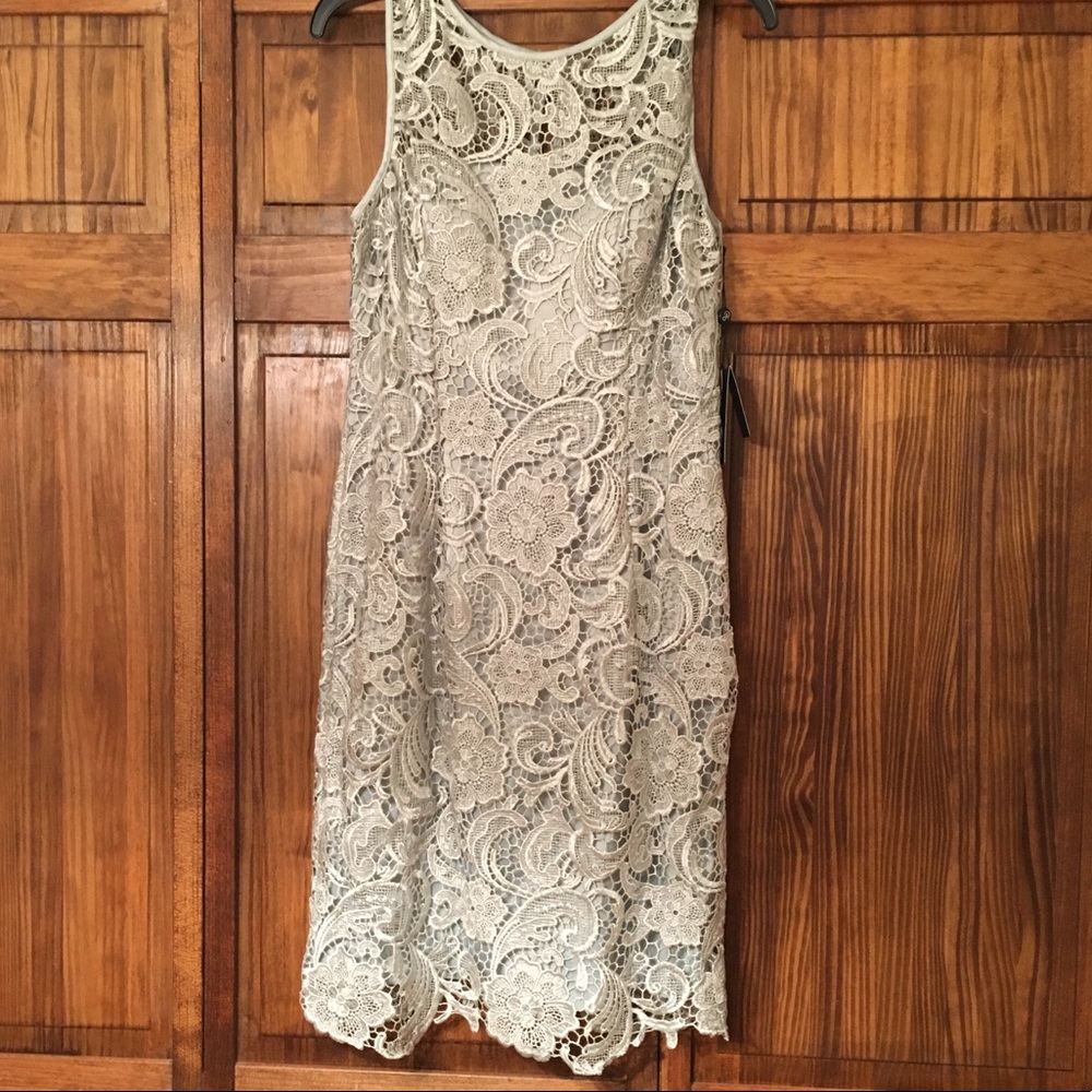 NWT! Adrianna Papell Lace Cocktail Dress